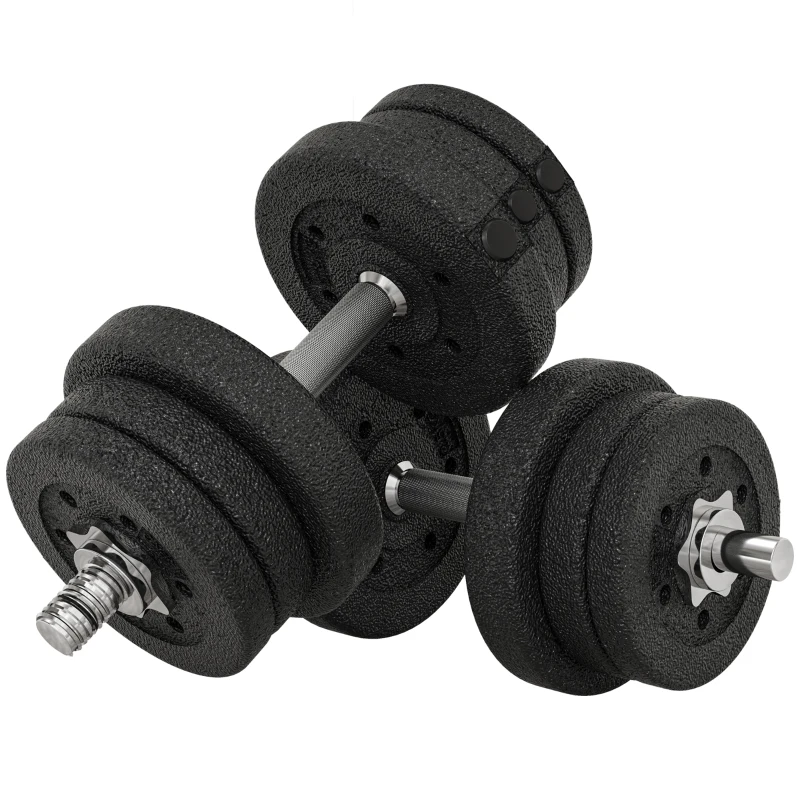 HOMCOM Set Manubri Palestra da 25 kg Totali con 12 Dischi Pesi e 2 Barre da 2 kg, Nero