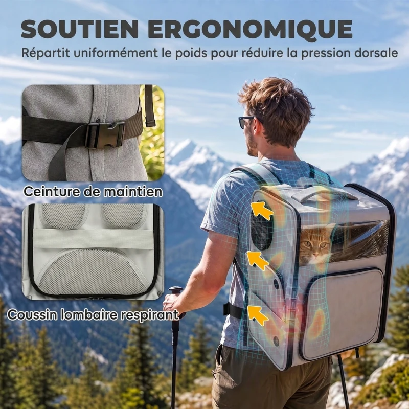 PawHut Sac de Transport pour Chat 2-en-1 à Roulettes Pliable Extensible Ventilé Soutien Lombaire Respirant 34x28x43cm Gris