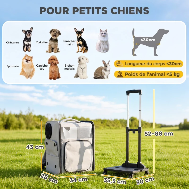 PawHut Sac de Transport pour Chat 2-en-1 à Roulettes Pliable Extensible Ventilé Soutien Lombaire Respirant 34x28x43cm Gris