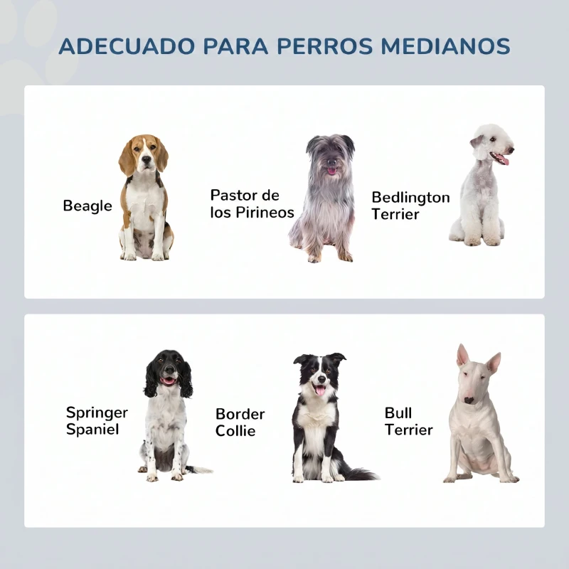 PawHut Comedero Elevado para Perros con 2 Cuencos Extraíbles de Acero Inoxidable 58,4x30,5x25,4 cmGris