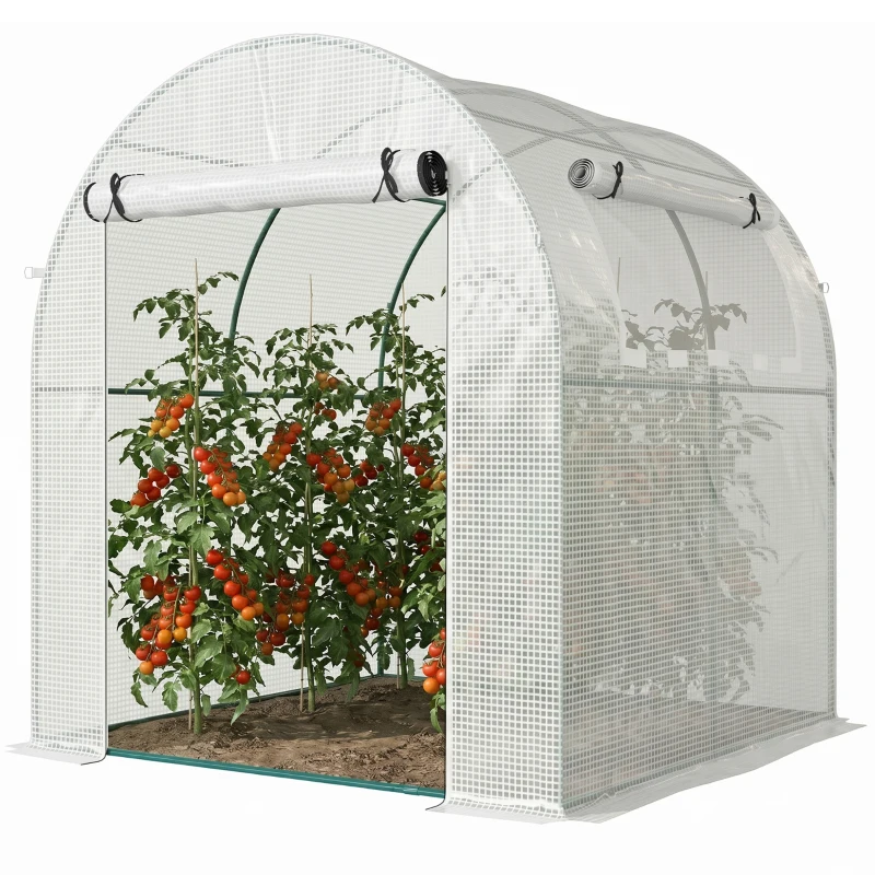 Outsunny Walk in Polytunnel Greenhouse, Green House for Garden with Roll-up Window and Door, 1.8 x 1.8 x 2 m, White
