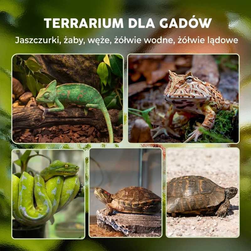 PawHut Terrarium dla gadów szklane terrarium dla jaszczurek i płazów vivarium wodoodporny spód zamek 50x30x25 cm czarne