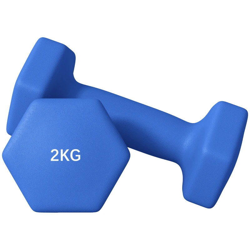 SPORTNOW 2 x 2kg Hexagonal Dumbbells Weights Set with Non-Slip Grip for Home Gym Workout, Blue