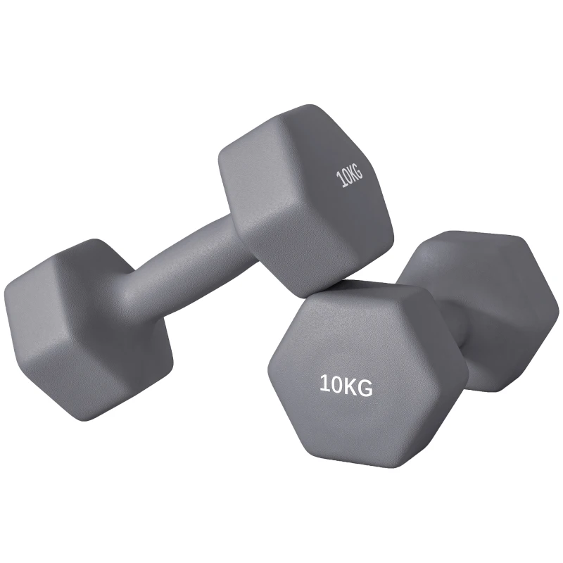 SPORTNOW Set 2 Manubri Esagonali da 2x10 kg in Metallo e Plastica con Impugnatura Antiscivolo, 26x12x12 cm, Grigio