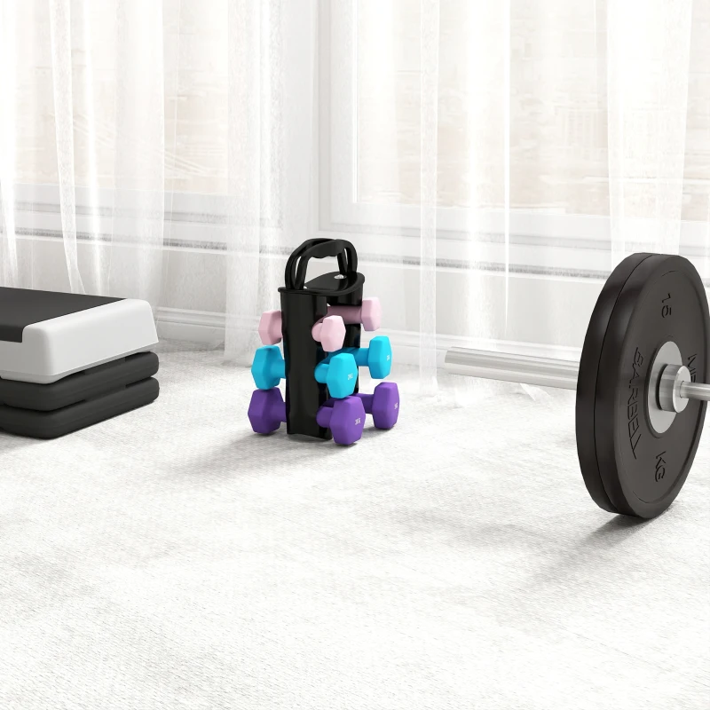 SPORTNOW Set 6 Manubri Pesi (2x1 kg, 2x2 kg, 2x3 kg) da 12 kg con Supporto/Kettlebell, in Metallo e PP Rosa, Azzurro e Viola