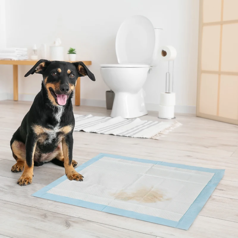 PawHut Set 80 Tappetini Igienici per Cani a 6 Strati in Tessuto non Tessuto, Carta e PE, 60x60 cm, Blu e Bianco
