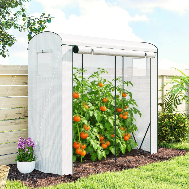 Outsunny Mini Greenhouse, Garden Tomato Growhouse with Roll-Up Door and 2 Mesh Windows, PE Cover, 200 x 75 x 188 cm, White