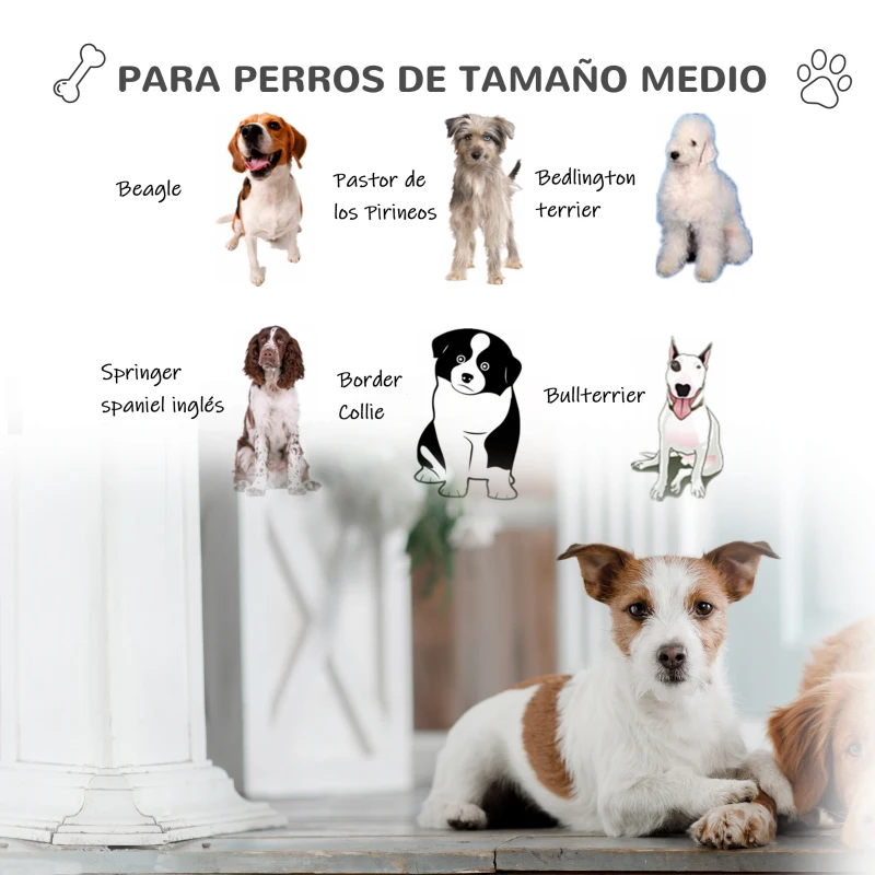 PawHut Caseta de Perro Casa para Perros Medianos con Puerta Metálica con Cerradura Techo Inclinado Base Elevada para Interior Exterior 78x87x81 cm Blanco y Verde