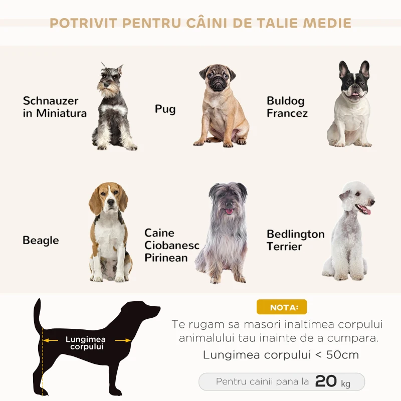 PawHut Canapea pentru Câini de Talie Medie și Mică Catifelată cu Pernă, Brațe și Spătar, 82x54x36 cm, Gri Deschis