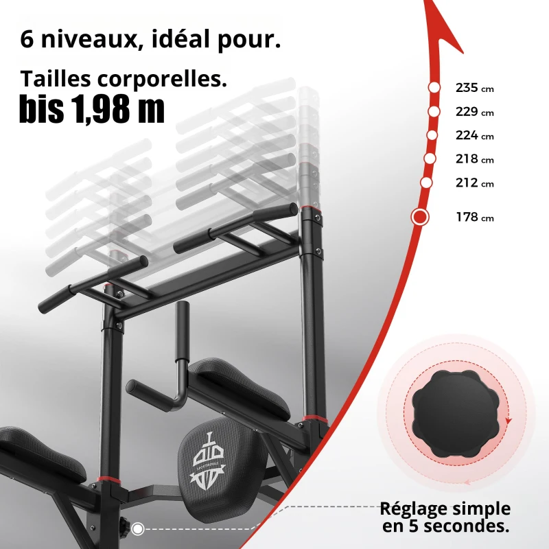 Power Tower Dip-Station barre de traction, double base triangulaire, multifonctionnelle, 107,4x81,3x235 cm, Noir
