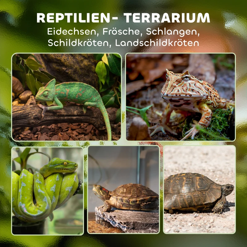 PawHut Glas-Terrarium voor Reptielen, verhoogde & waterdichte bodem, knopsluiting(m-4)