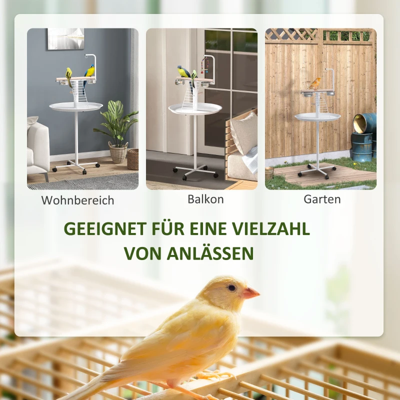 PawHut Papegaaien Vrijstaande Speelstandaard met Zitstok, 1 Ladder, 1 Schommel, Voerschalen, 60 x 60 x 138 cm, Wit + Natuur