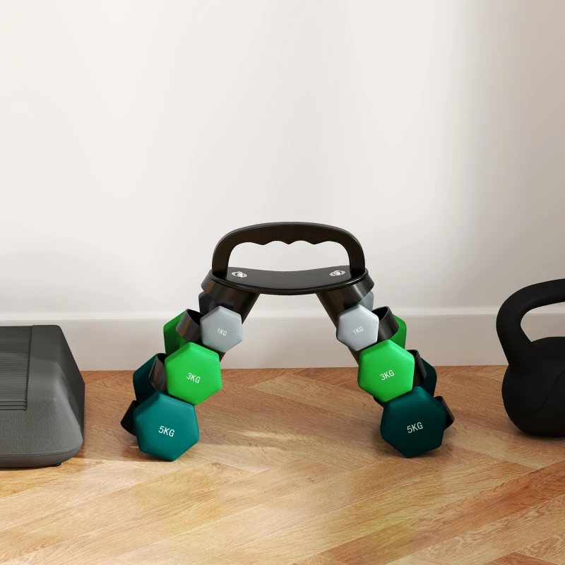 SPORTNOW Set Gantere cu Suport, 3 Perechi de Greutăți 2 x 1 kg, 2 x 3 kg, 2 x 5 kg, Multicolor