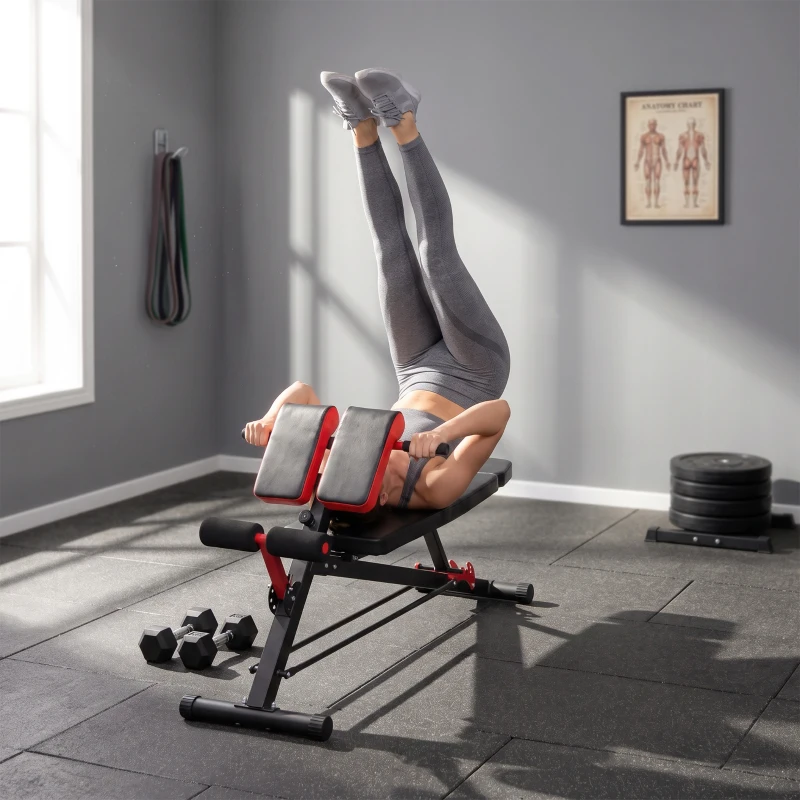HOMCOM halterbank fitnessbank schuine bank multifunctioneel buiktrainer verstelbaar rvs zwart 64 x 146 x 73,5-85 cm | Aosom.nl(m-9)