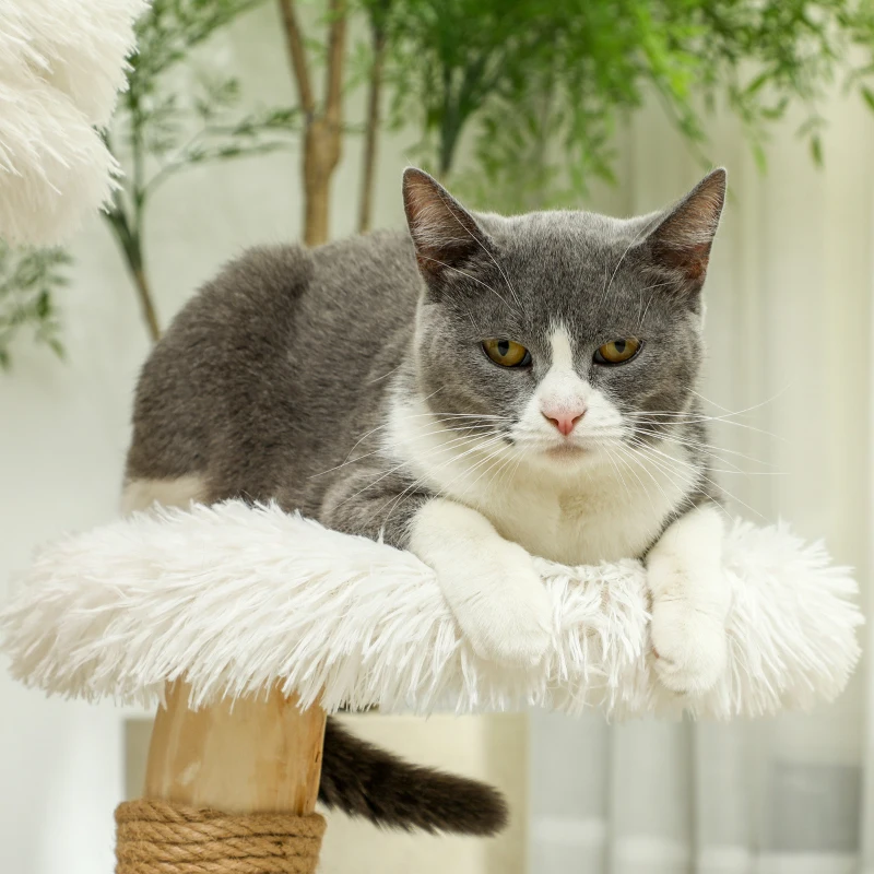 PawHut Kattenboom, 61,5 cm, met Kattenbed, Krabpaal, Sprongplatform, Speelbal, Voor Katten tot 5 kg, Wit