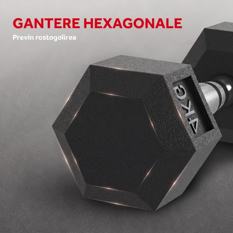 HOMCOM Haltere Hex 4kg Antiderapant
