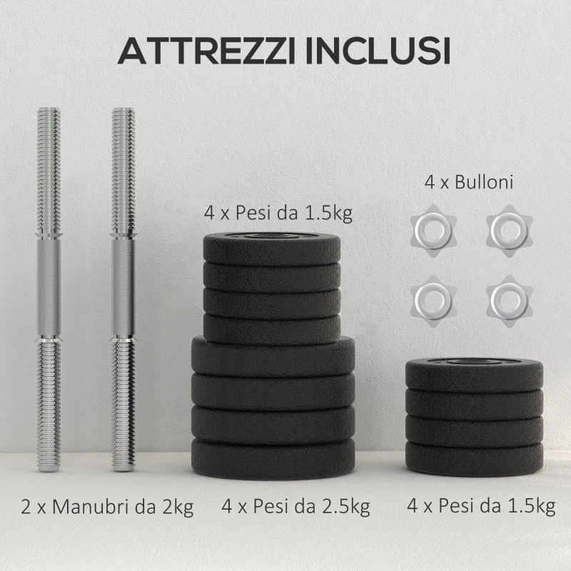 HOMCOM Set Manubri Palestra da 25 kg Totali con 12 Dischi Pesi e 2 Barre da 2 kg, Nero