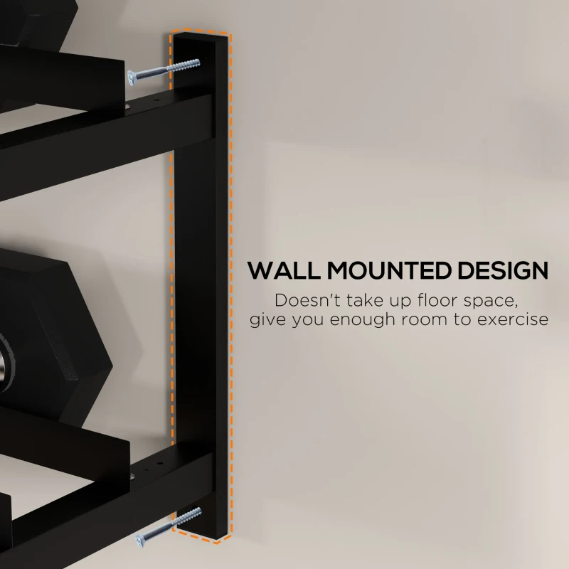 SPORTNOW Wall-Mounted Dumbbell Rack, 2-Tier Weight Stand, Space-Saving and Multi-Functional Steel organiser for Home Gym, Black