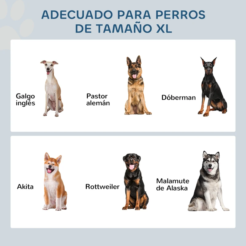 PawHut Comedero Elevado para Perros Grandes con 2 Cuencos de 2000ml y Almacenamiento Oculto 60x30x41 cm Gris
