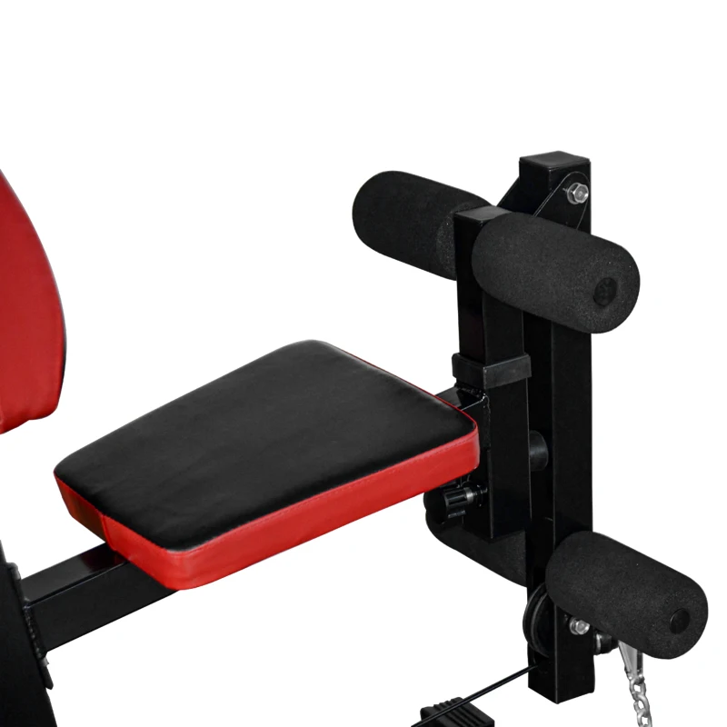HOMCOM Panca per Allenamento Casa Palestra Multifunzione Professionale Addominali Gambe Pettorali in Acciaio Nero 125x106x205cm