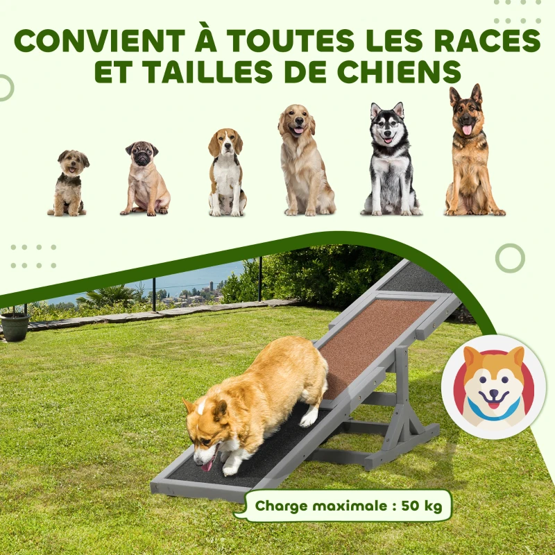 PawHut Agility sport pour chien bascule équipement entrainement chien bois sapin pré-huilé feutre bitumé antidérapant gris noir
