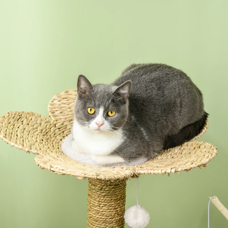PawHut Arbre à chat griffoir sisal naturel tunnel plateforme style cosy chic quenouille peluche polyester 56 x 40 x 91cm beige