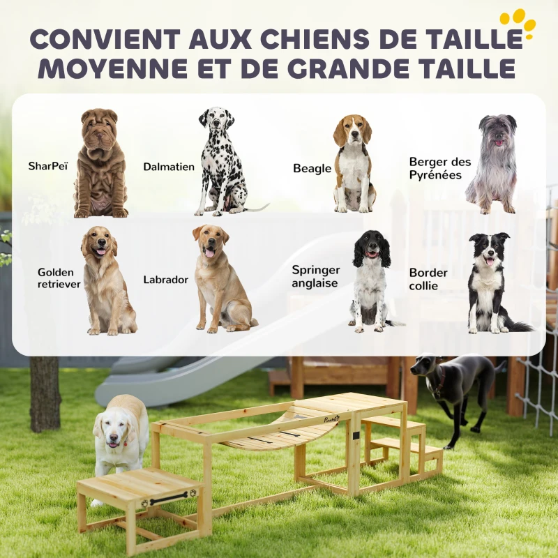 PawHut Équipements d'entraînement agilité pour chien kit d'équipement d'agilité pour chien 3 pièces en bois massif bois naturel