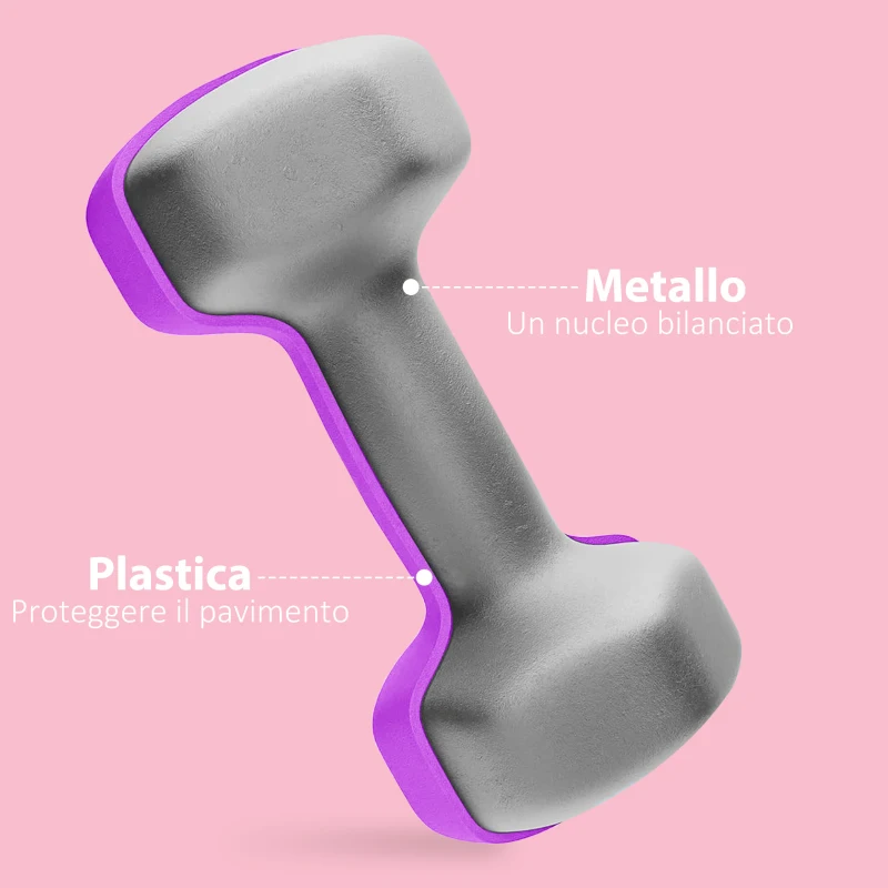SPORTNOW Set 2 Manubri 2x2 kg Esagonali e Antiscivolo per Casa e Palestra, in Metallo e Plastica, 16x7.5x7.5 cm, Viola