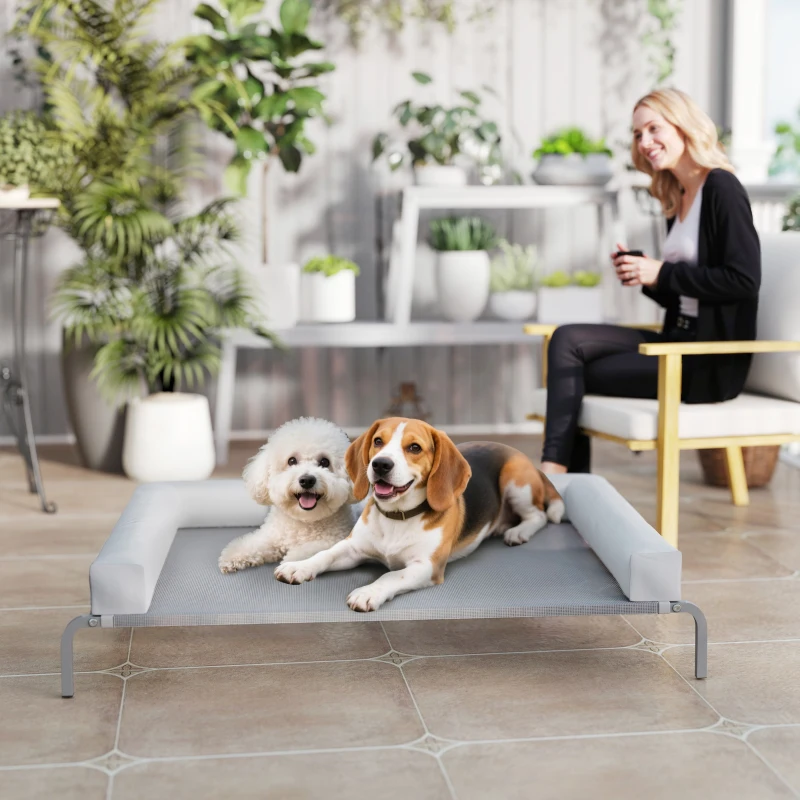 PawHut Cama Elevada para Cães com Latertais Amovíveis Cama Elevada para Cães Grandes Portátil com Malha Respirável 130x90x30 cm Cinza Claro