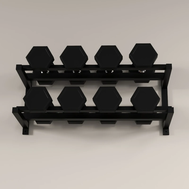 SPORTNOW Wall-Mounted Dumbbell Rack, 2-Tier Weight Stand, Space-Saving and Multi-Functional Steel organiser for Home Gym, Black