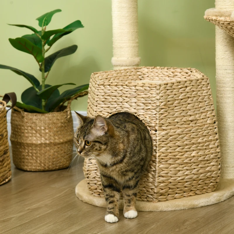 PawHut Arbre à chat arbre à grimper griffoir pour chat hauteur 119 cm colonnes renforcées avec niche hamac 2 balles suspendues