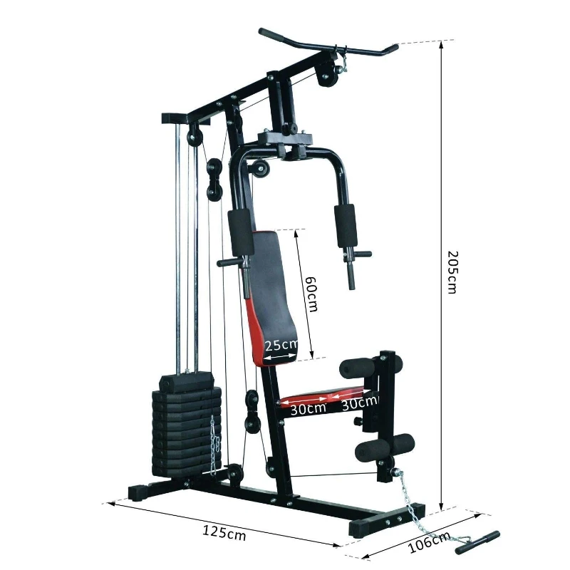 HOMCOM Panca per Allenamento Casa Palestra Multifunzione Professionale Addominali Gambe Pettorali in Acciaio Nero 125x106x205cm