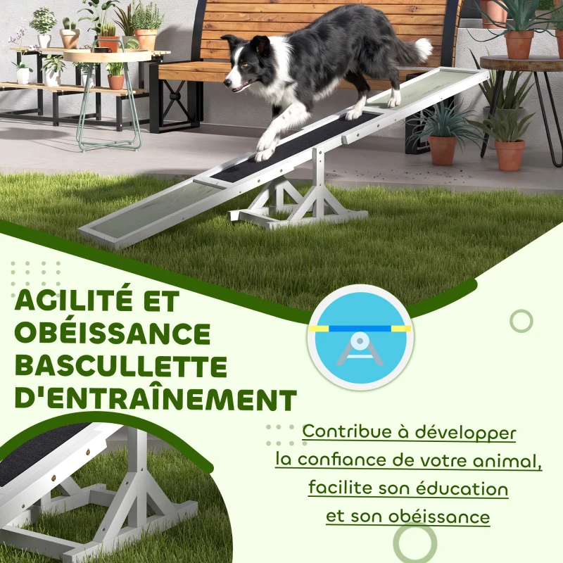 PawHut Agility sport pour chien bascule équipement entrainement chien antidérapant 180 x 30 x 30 cm gris blanc