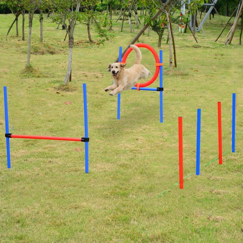 PawHut Agility sport pour chiens équipement complet obstacles et entrainement 11 pièces parcours agility chien avec sac de transport acier rouge et bleu