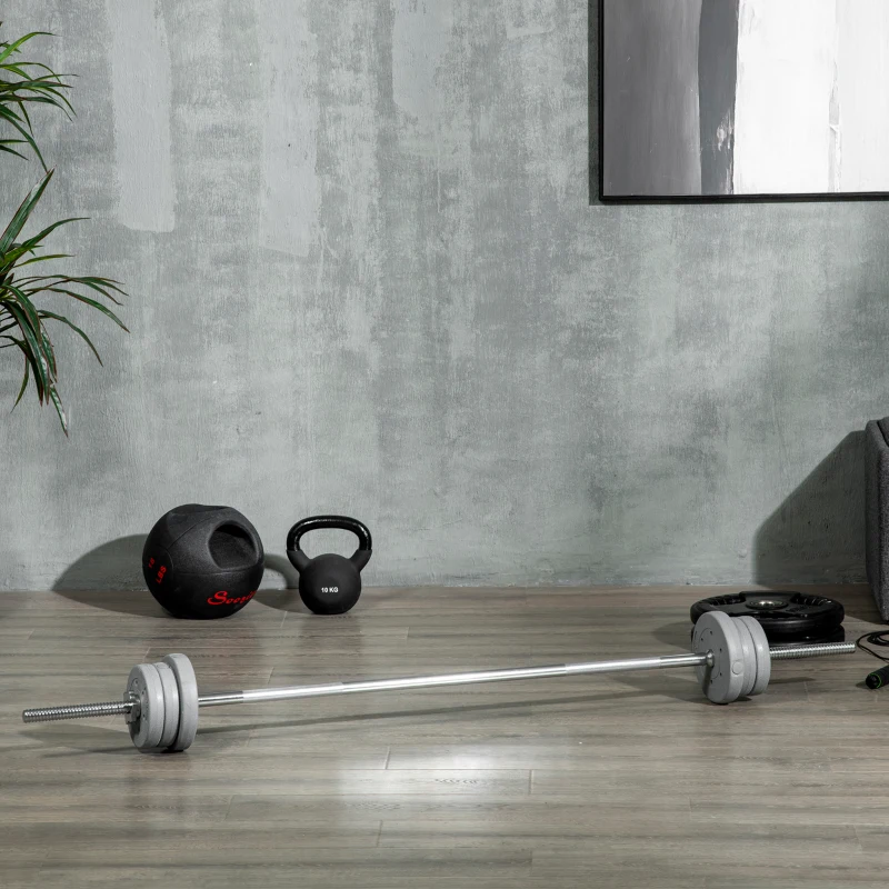 SPORTNOW Bilanciere da Squat, Stacchi da Terra e Sollevamenti, per Pesi da Ø2.5 cm da 100kg mx, in Acciaio, Ø2.5x170 cm, Argento