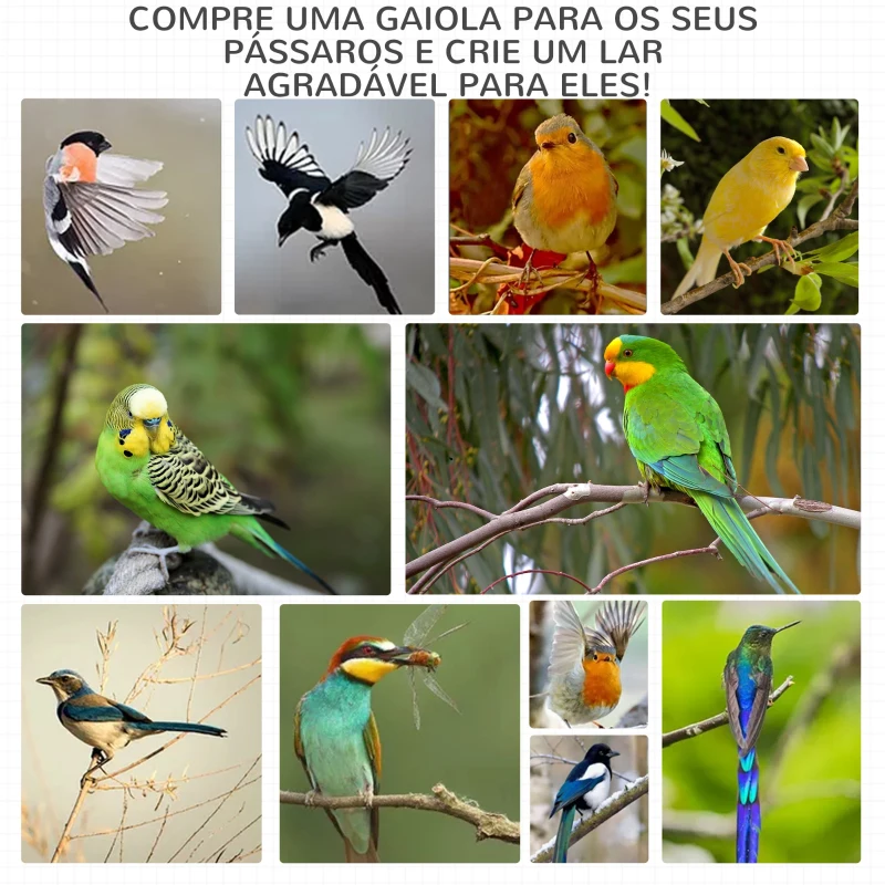 PawHut Gaiola para Pássaros de Madeira com 3 Portas 4 Poleiros Bandeja Amovível e Teto Asfáltico 80,5x57x153 cm Natural