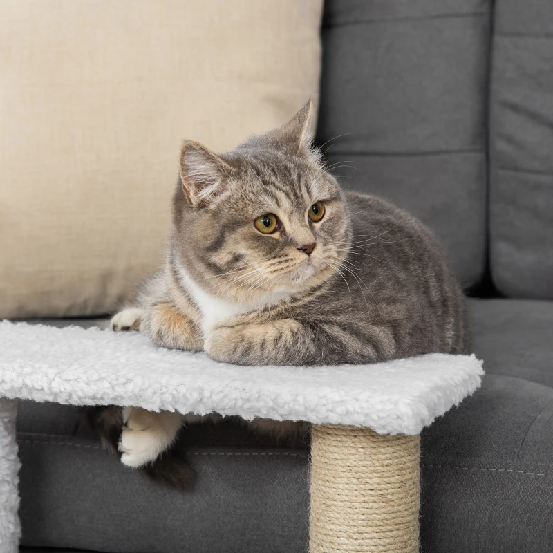 PawHut Luxe Huisdiertrap met Speelbal en Krabfunctie, Wit