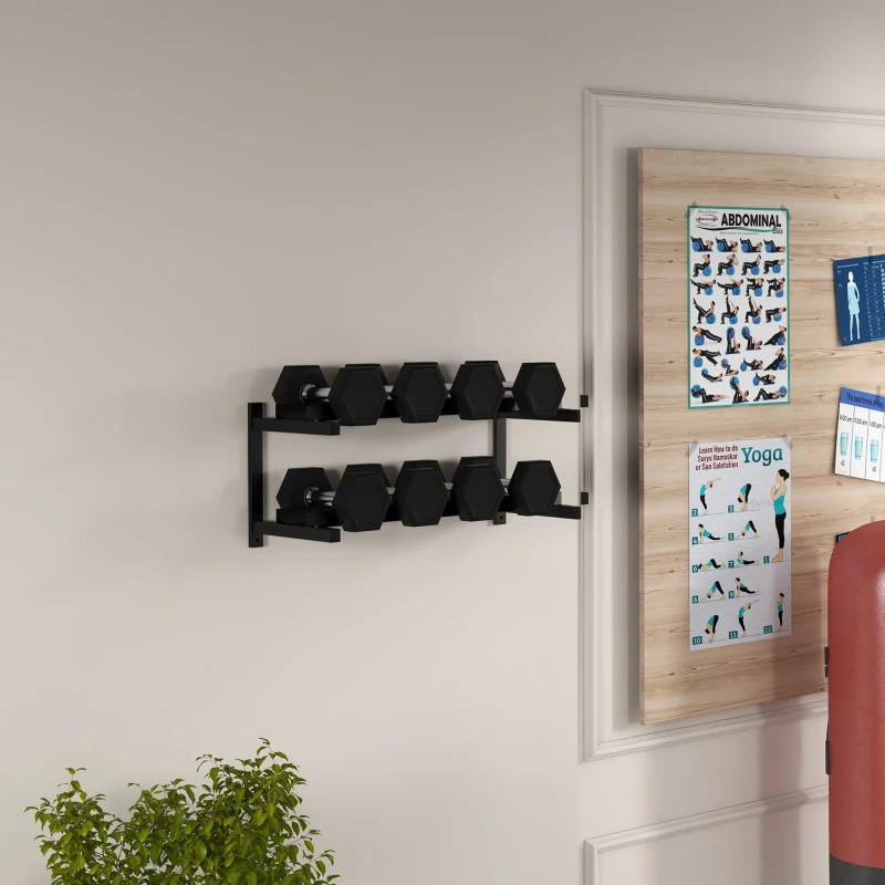 SPORTNOW Wall-Mounted Dumbbell Rack, 2-Tier Weight Stand, Space-Saving and Multi-Functional Steel organiser for Home Gym, Black