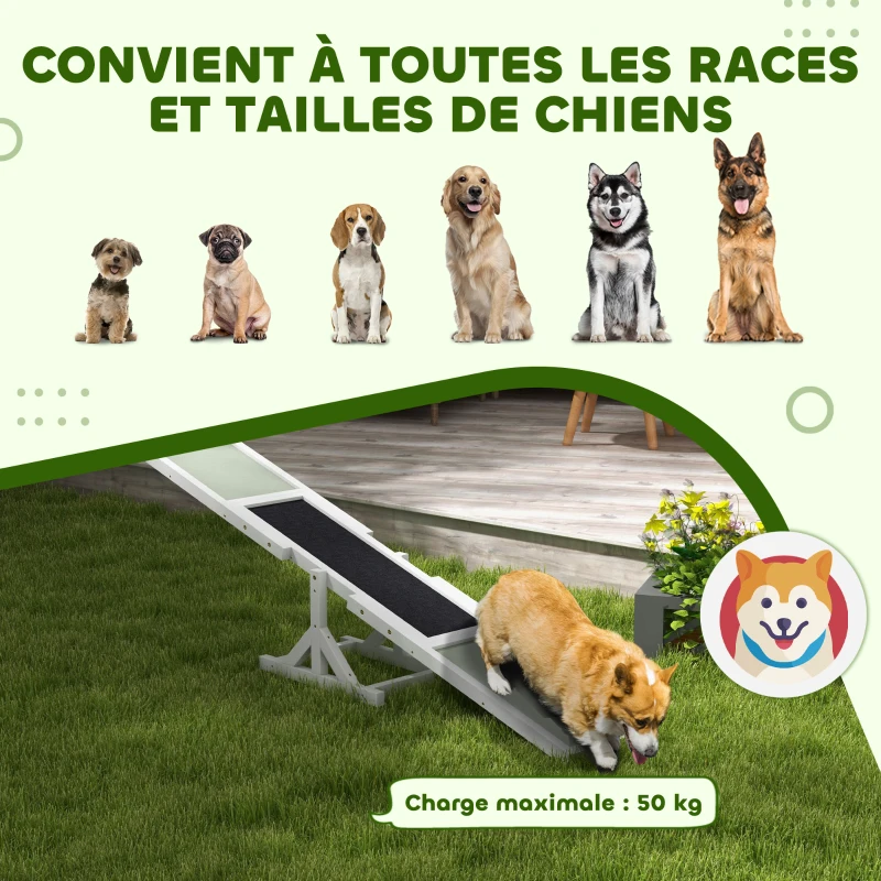 PawHut Agility sport pour chien bascule équipement entrainement chien antidérapant 180 x 30 x 30 cm gris blanc