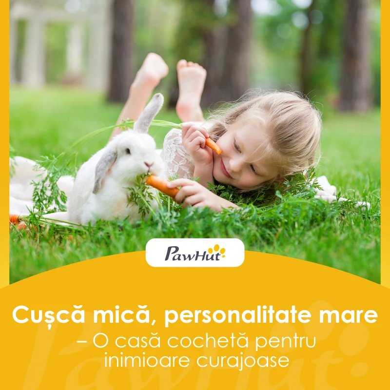 PawHut Cușcă Exterioară pentru Iepuri din Lemn de Pin cu Acoperiș Rabatabil, Lemn de pin, Gri