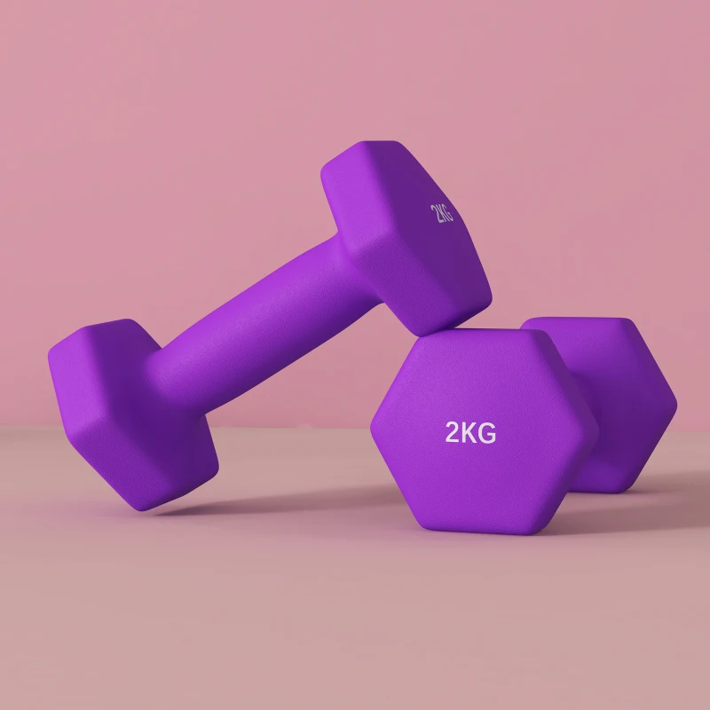 SPORTNOW Set 2 Manubri 2x2 kg Esagonali e Antiscivolo per Casa e Palestra, in Metallo e Plastica, 16x7.5x7.5 cm, Viola