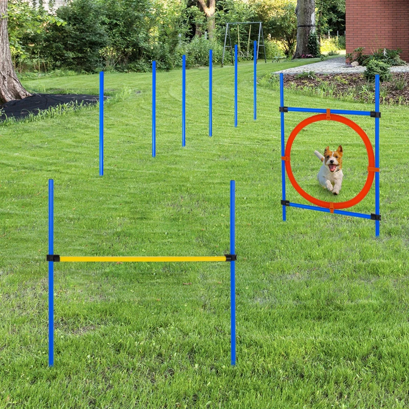 PawHut Agility sport pour chiens équipement complet : poteaux slalom, obstacle, anneau + sac de transport bleu jaune rouge