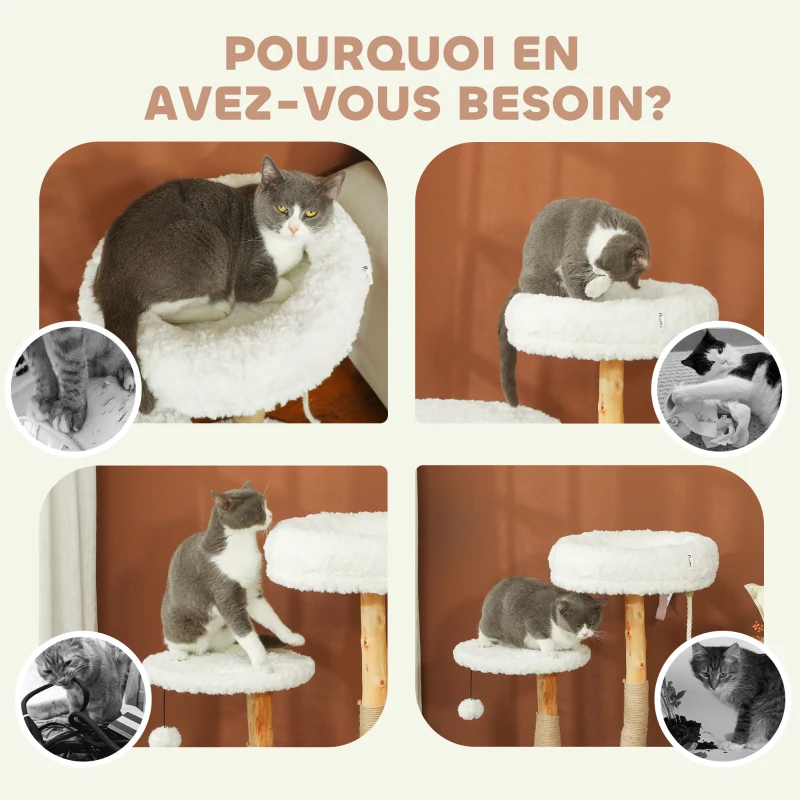 PawHut Arbre à chat arbre à grimper avec lit poteaux à griffer plateforme de saut balle et corde de jeu 58 x 40 x 85 cm blanc