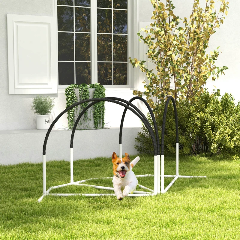 PawHut Conjunto de Treino de Agilidade para Cães de 4 Peças com Bolsa de Transporte 89x69x99 cm Preto