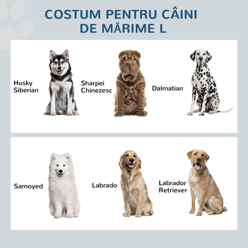PawHut Boluri pentru Câini Înălțate din Oțel Inoxidabil și Lemn cu Sertar, 60x30x36cm, Gri