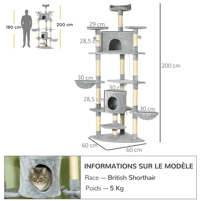 PawHut Arbre à chat XXL arbre à grimper pour chat multi-équipements griffoirs 6 plate-formes 2 niches hauteur 200 cm gris