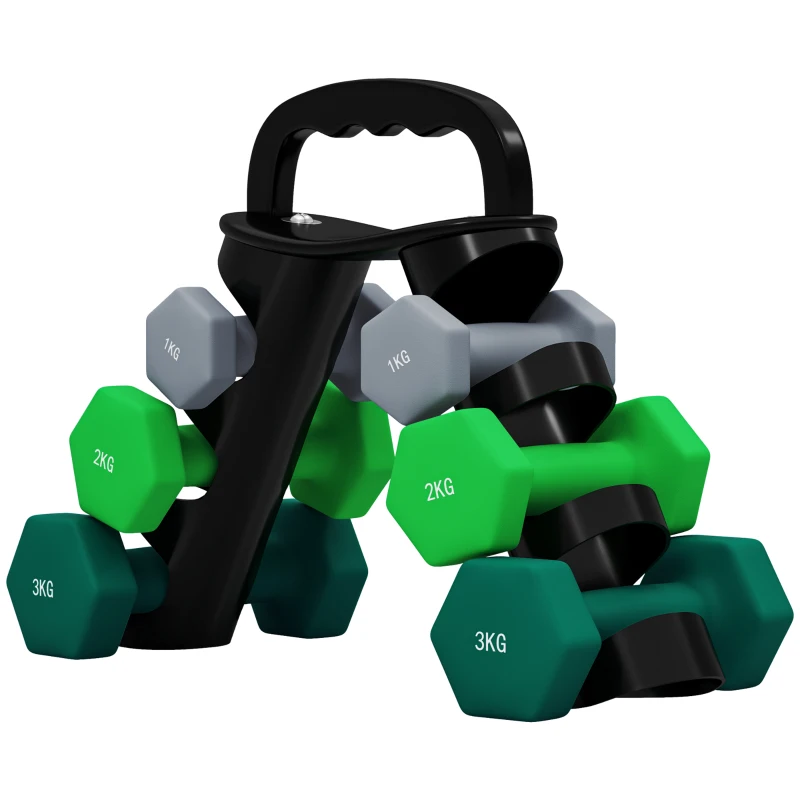 SPORTNOW Set de 6 gantere (2x1 kg, 2x2 kg, 2x3 kg) de 12 kg, cu suport/Kettlebell, din metal și plastic, multicolor