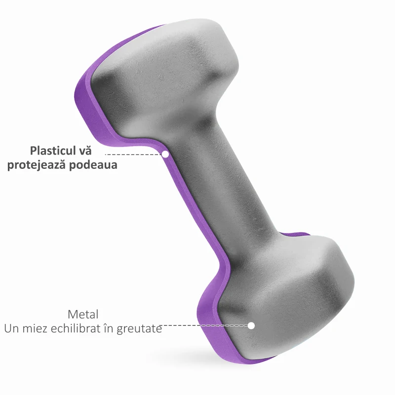 SPORTNOW Set 6 Gantere Greutăți (2x1 kg, 2x2 kg, 2x3 kg) de 12 kg cu Suport/Kettlebell, din Metal și PP Roz, Albastru și Mov