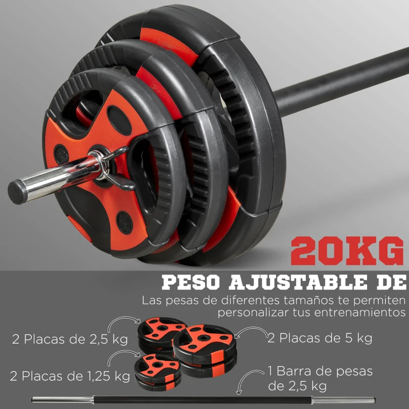 SPORTNOW Juego de Barra de Pesas con 6 Discos de Diferentes Pesos para Entrenamiento de Fuerza Ø27x140 cm Negro y Rojo