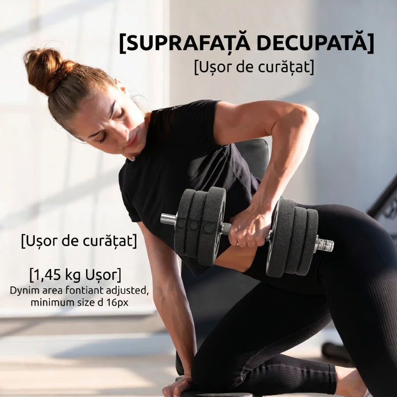 HOMCOM Set de gantere pentru sală de 25 kg în total, cu 12 discuri de greutăți și 2 bare de 2 kg, negru